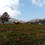 Dell'arte Vendégház *